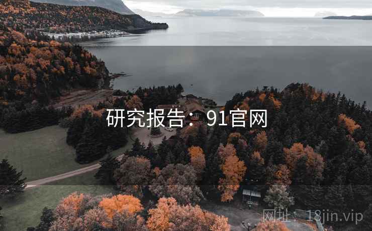 研究报告:91官网