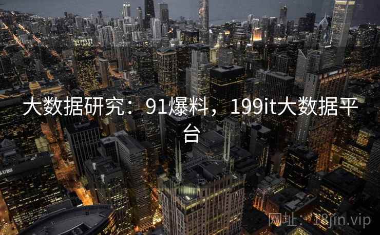 大数据研究:91爆料,199it大数据平台