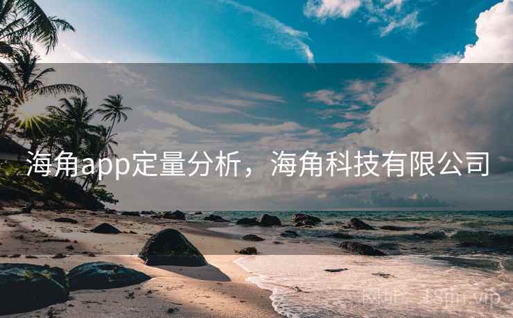 海角app定量分析,海角科技有限公司
