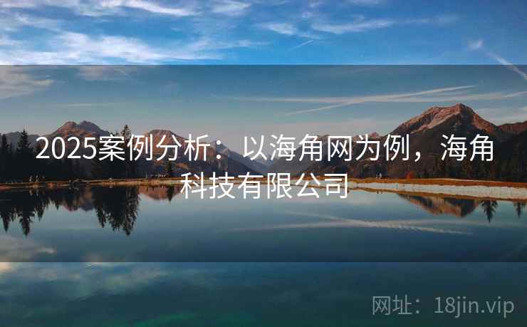 2025案例分析:以海角网为例,海角科技有限公司