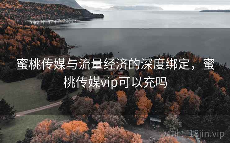 蜜桃传媒与流量经济的深度绑定,蜜桃传媒vip可以充吗