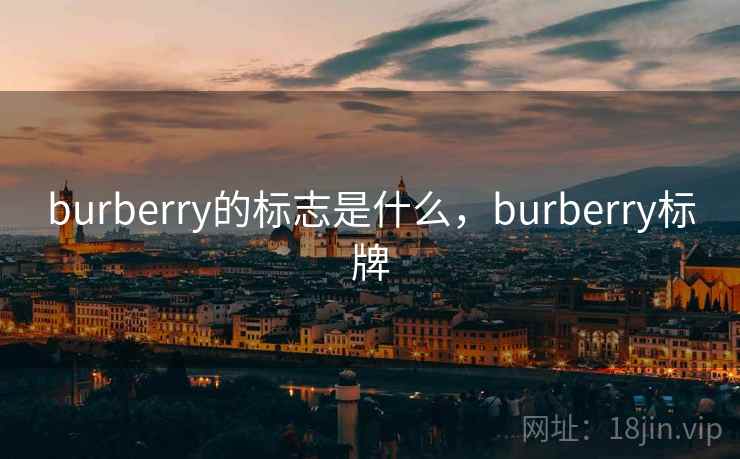 burberry的标志是什么,burberry标牌