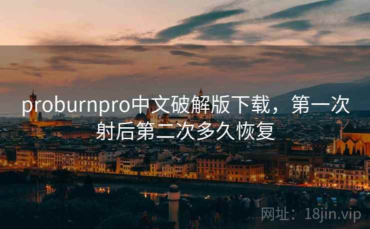 proburnpro中文破解版下载,第一次射后第二次多久恢复