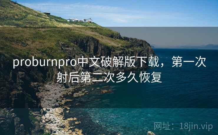 proburnpro中文破解版下载,第一次射后第二次多久恢复