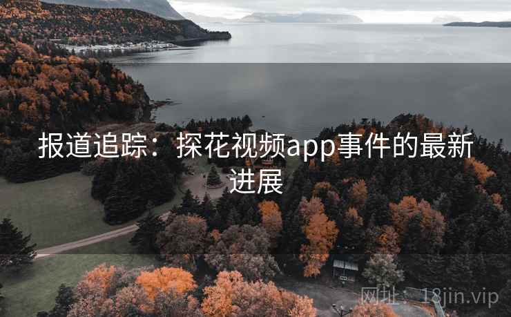 报道追踪:探花视频app事件的最新进展