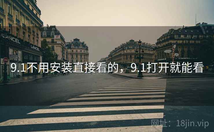 9.1不用安装直接看的,9.1打开就能看